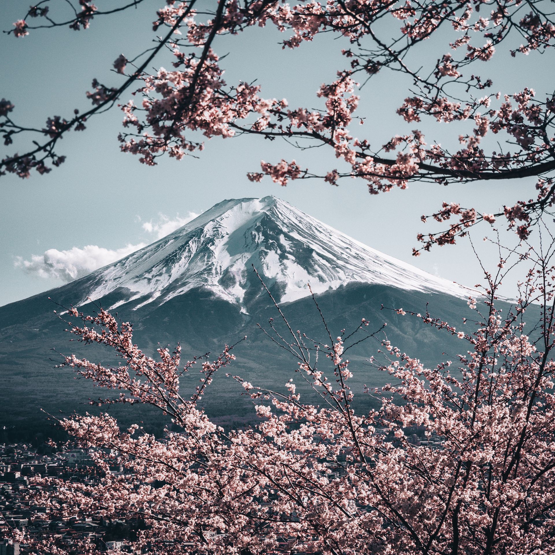 Japan